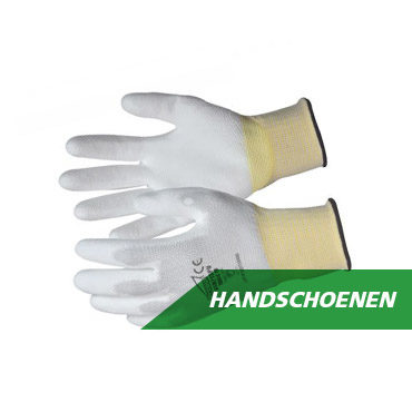 HANDSCHOENEN